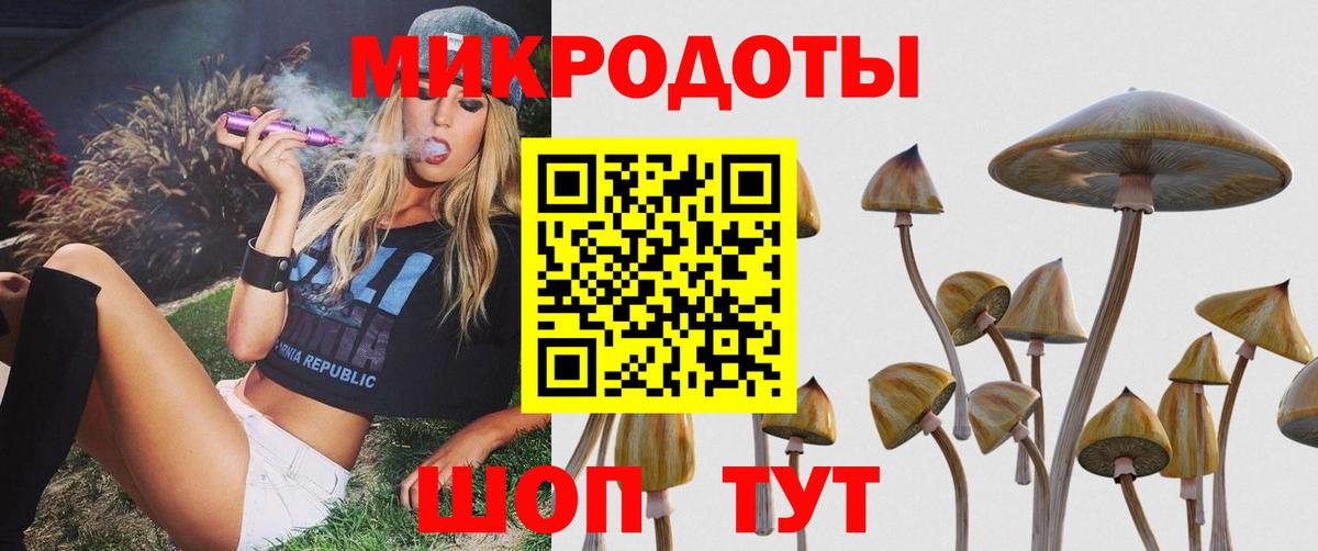 Псилоцибиновые грибы GOLDEN TEACHER  Галлюциногенные грибы MAGIC MUSHROOMS  Вход с VPN  Россия 